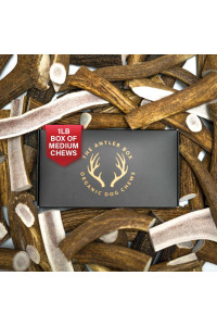 The Antler Box Premium Elk Antler Dog Chews (1 Pound Box) (Medium (4 Pieces) Whole/Split Mixed)