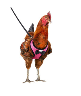 Yesito Chicken Harness Hen Size with 6ft Matching Leash - Adjustable, Resilient, Comfortable, Breathable, Small, Suitable for Chicken Weighing About 2.2 Pound,Pink