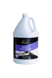 EBPP Odor & Stain Eraser - Made in The USA - Pet Odor Absorber and Room Deodorizer for Home Use - Odor Remover and Urine Odor Eliminator - Lavender Enzyme Carpet Cleaner