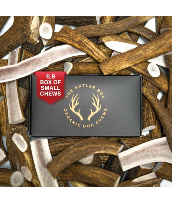 The Antler Box Premium Elk Antler Dog Chews (1 Pound Box) (Small (7-8 Pieces) Whole/Split Mixed)