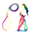 Pet Bird Harness and Leash with Buckle Adorable Rainbow Design Safe Parrot Leash Pet Harness Outdoor Adjustable Anti Bite Training Rope for Macaw Large Size Bird (1.5cm ?47.24in)