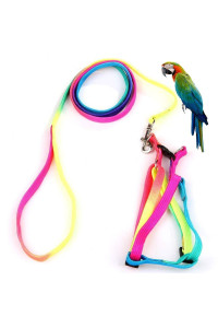 Pet Bird Harness and Leash with Buckle Adorable Rainbow Design Safe Parrot Leash Pet Harness Outdoor Adjustable Anti Bite Training Rope for Macaw Large Size Bird (1cm ?47.24in)