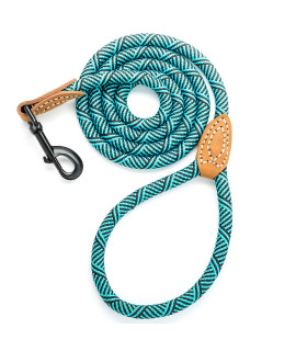 Mile High Life Mountain Climbing Dog Rope Leash with Heavy Duty Metal Sturdy Clasp Genuine Leather Tailored Connection with Strong Stitches (Turquoise Green, 60 Inch (Pack of 1))