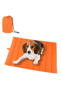 AMOFY Pet Mats, 43X26, Exceptionally Hygienic, Non-Slip, Water Resistant, Comfortable and Portable, Machine Washable, Fit Indoor Outdoor Use for Dogs Cat Pet, Four Seasons Orange