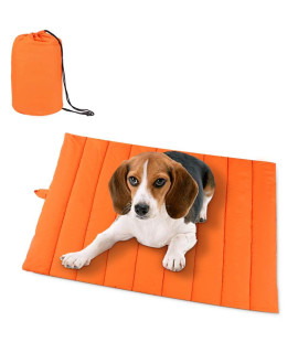 AMOFY Pet Mats, 43X26, Exceptionally Hygienic, Non-Slip, Water Resistant, Comfortable and Portable, Machine Washable, Fit Indoor Outdoor Use for Dogs Cat Pet, Four Seasons Orange