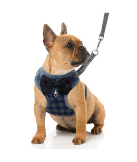 Rypet Small Dog Harness and Leash Set - No Pull Pet Harness with Soft Mesh Nylon Vest for Small Dogs and Cats Blue S