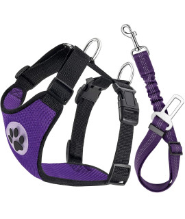 Lukovee Dog Safety Vest Harness with Seatbelt, Dog car Harness Seat Belt Adjustable Pet Harnesses Double Breathable Mesh Fabric with car Vehicle connector Strap for Dog (X-Small, Purple)
