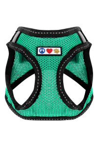Pawtitas Dog Vest Harness Made with Breathable Air Mesh All Weather Vest Harness for Extra Extra Small Puppies and Cats with Quick-Release Buckle - Extra Extra Small Teal Mesh Dog Harness