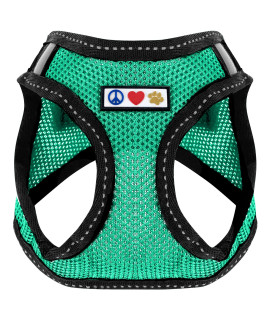 Pawtitas Dog Vest Harness Made with Breathable Air Mesh All Weather Vest Harness for Medium Puppies and Extra Large Cats with Quick-Release Buckle - Medium Teal Mesh Dog Harness