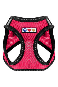 Pawtitas Dog Vest Harness Made with Breathable Air Mesh All Weather Vest Harness for Extra Extra Small Puppies and Cats with Quick-Release Buckle - Extra Extra Small Pink Mesh Dog Harness