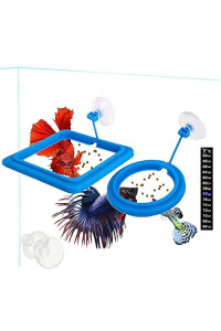 2 Pcs Fish Feeding Ring, Fish Safe Floating Food Feeder Circle Blue, with Suction Cup Easy to Install Aquarium, Square and Round Shape Fish Tank Towels - for Guppy, Betta, Goldfish, Etc. (Blue)