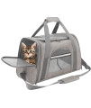 Prodigen Pet Carrier Airline Approved Pet Carrier for Small Dogs, Medium Cat Small Cat, Small Airline Approved Cat Pet Travel Carrier