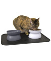 Kitty City Raised Cat Food Bowl Collection/Stress Free Pet Feeder and Waterer and Slow Feed Bowls