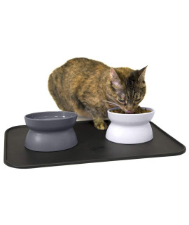 Kitty City Raised Cat Food Bowl Collection/Stress Free Pet Feeder and Waterer and Slow Feed Bowls