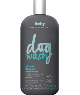 Dog Wash FGI06940 1 Synergylabs Oatmeal Itch-Relief Conditioner for Dogs - Moisturizing Dog Conditioner Detangles & Soothes Dogs?Dry, Itchy Skin - Heals Skin & Softens Coat (24 oz Bottle)