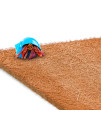 SunGrow Coco Fiber Hermit Crab & Reptile Carpet, Gecko Terrarium Liner, and Floor Bedding Substrate & Supplies, Climbing Wall Carpet & Mat for Hermit Crabs, 10 x 13, 1 Piece Per Pack