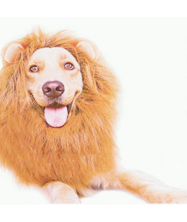 Funny Dog Costume, Lion Mane Wig for Dog Halloween Christmas Dress Up (with Ears, Color: Light Brown, Size: Large)