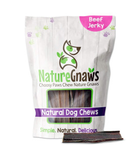 Nature Gnaws 10 Count Jerky Large Premium Beef Gullet Sticks-Simple Single Ingredient Tasty Dog Chew Treats-Rawhide Free, (Pack of 1)
