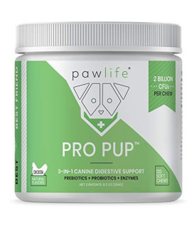 Pawlife Probiotic Chews for Dogs - 120 Pro Pup Dog Probiotics, Veterinarian Formulated Dog Probiotics and Digestive Enzymes, Dog Gut Health Probiotics, Natural Dog Gas Relief (Chicken Flavor)
