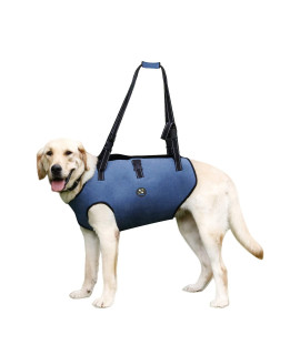 coodeo Dog Lift Harness, Pet Support & Rehabilitation Sling Lift Adjustable Padded Breathable Straps for Old, Disabled, Joint Injuries, Arthritis, Loss of Stability Dogs Walk (Blue, L)