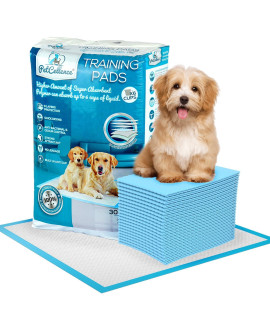 Petcellence Puppy Pads with Non Slip Sticky Tapes - 24 x 24 Super-Absorbent Pee Pads for Dog - Waterproof Dog Pads Large with Leak-Proof Protection for Puppies (6 Layers 30 count)
