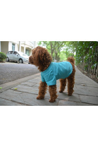 Lovelonglong 2019 Pet clothing Dog costumes Basic Blank T-Shirt Tee Shirts for Small Dogs Turquoise L