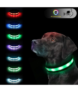 Light Up Dog Collars,Safety LED Dog Collars USB Rechargeable 7 Changing Colors Glow in The Dark Dog Walking Light,Neon Adjustable Safety Buckle Lighted Dog Collar for Small/Medium/Large Dogs, M Size