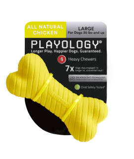 Playology Dual Layer Bone Dog Toy, for Large Dogs (35lbs and Up) - for Heavy Chewers - Engaging All-Natural Chicken Scented Toy - Non-Toxic Materials