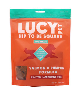 Lucy Pet Hip To Be Square Salmon And Pumpkin Dog Treats 6Oz