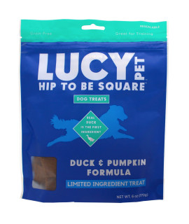 Lucy Pet Hip To Be Square Duck And Pumpkin Dog Treats 6Oz