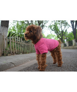 Lovelonglong 2019 Pet clothing Dog costumes Basic Blank T-Shirt Tee Shirts for Small Dogs Rosered S