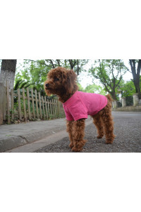 Lovelonglong 2019 Pet clothing Dog costumes Basic Blank T-Shirt Tee Shirts for Small Dogs Rosered L