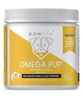 Pawlife Dog Fish Oil Supplements - 120 Omega 3 Fish Oil Dog Vitamins, Veterinarian Formulated Itching Relief for Dogs, Natural Omega 3 Fish Oil for Dogs, Dog Skin and Coat Supplement (Salmon Flavor)