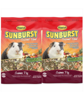 Higgins 2 Pack Sunburst gourmet guinea Pig Food 6 Pounds Total