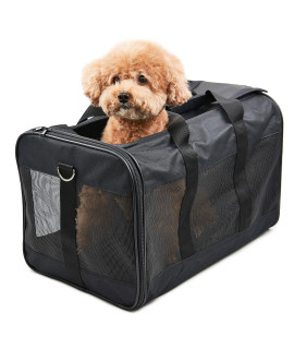 HITCH ScratchMe Pet Travel Carrier Soft Sided Portable Bag for Cats, Small Dogs, Kittens or Puppies, Collapsible, Durable, Airline Approved, Carry Your Pet with You Safely and Comfortably (L)