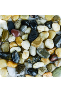 Galashield Pebbles for Plants, River Rocks, Decorative Stones for Vases, Garden Rocks Outdoor Landscaping, Polished Aquarium Gravel (5 lb Bag), 2-4 cm
