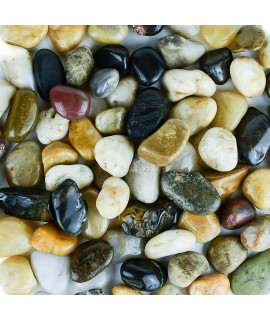 Galashield Pebbles for Plants, River Rocks, Decorative Stones for Vases, Garden Rocks Outdoor Landscaping, Polished Aquarium Gravel (5 lb Bag), 2-4 cm