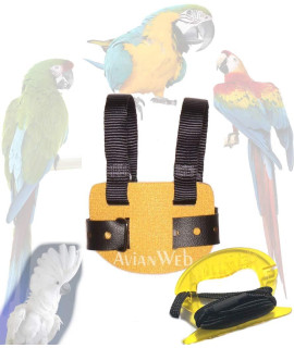 Fancy Sunny Bird Harness (10)