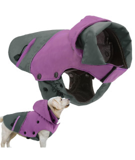 PETLOFT Dog Winter Jacket, Reflective Waterproof Dog Winter Coat Windproof Warm Outdoor Fleece Winter Dog Jacket with Detachable Fleece Lining (XS, Purple)