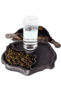 WINGOFFLY Automatic Reptile Feeders Waterer Automatic-refilling Turtle Water Dispenser Bottle Tortoise Food Water Bowl Feeding Dish for Lizards Coffee