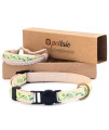Pettsie Cat Collar Set, Breakaway Safe Buckle, Matching Friendship Bracelet, Pet-Friendly Carton Box for Kitty Lovers, Soft Cotton for Sensitive Skin, Easy Adjustable 7.5-11.5 Inches, Green