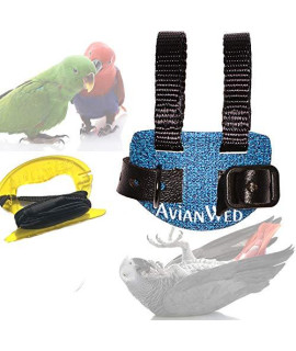 Avianweb Dazzling Blue Bird Harness (9)