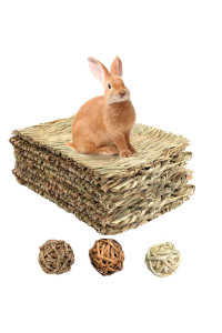 Tfwadmx Rabbit Grass Mat,16.5''x11'' Large Natural Woven Seagrass Mat Bunny Bed Chew Mat Sleep for Chinchillas Guinea Pigs Ferret Guinea-Pig and Small Animals -2 Pcs