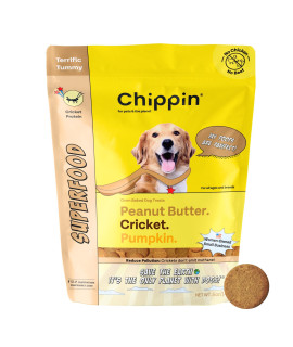 Chippin Cricket Peanut Butter Superfood Dog Treats (5oz, 1-Pack) Limited Ingredients, Hypoallergenic, Chicken-Free Gut Health and Training Treat for Puppies I Made in USA
