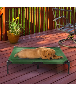 Elevated Dog Bed - 36x2975 Portable Bed for Pets with Non-Slip Feet - IndoorOutdoor Dog cot or Puppy Bed for Pets up to 80lbs by Petmaker (green)