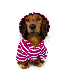 DJANGO Dog Hoodie and Super Soft and Stretchy Sweater with Elastic Waistband and Leash Portal (Small, Boysenberry)