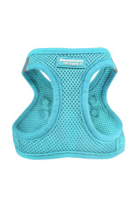 Downtown Pet Supply Step in Dog Harness for Small Dogs No Pull, Small, Light Blue - Adjustable Harness with Padded Mesh Fabric and Reflective Trim - Buckle Strap Harness for Dogs