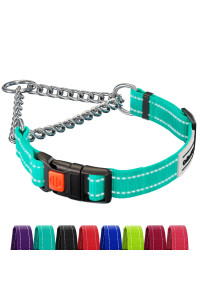 CollarDirect Martingale Dog Collar with Stainless Steel Chain and Quick Release Buckle - Reflective Collar for Large, Medium, Small Dogs - Mint Green, Small (Neck Size 12-15)