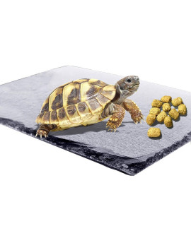 Reptile Basking Platform Tortoise Rock Plate Turtle Bathing Area Feeding Food Dish Resting Terrace