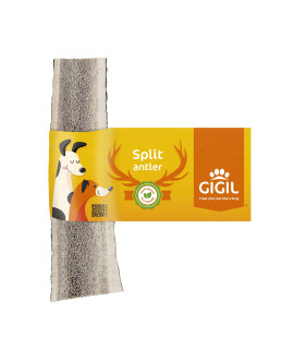 GIGIL Treat You pet Like a King - 100% Natural Deer Split Antlers for Small Dogs - Premium Elk Antlers - Long Lasting Dog Chew Toy - Naturally Shed and Organic Antlers for Dogs - Size M
